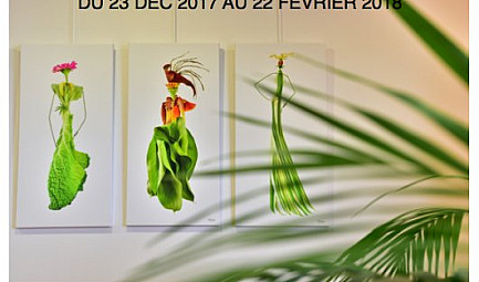Exposition les Herbettes à la Maison Montgrand, concept store 3 étoiles de charme en plein cœur du centre..